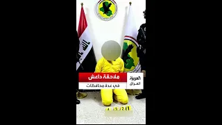 جهاز مكافحة الإرهاب يعلن القبض على 11 إرهابيا من تنظيم داعش  جهاز مكافحة الإرهاب يعلن القبض على 11 إرهابيا من تنظيم داعش