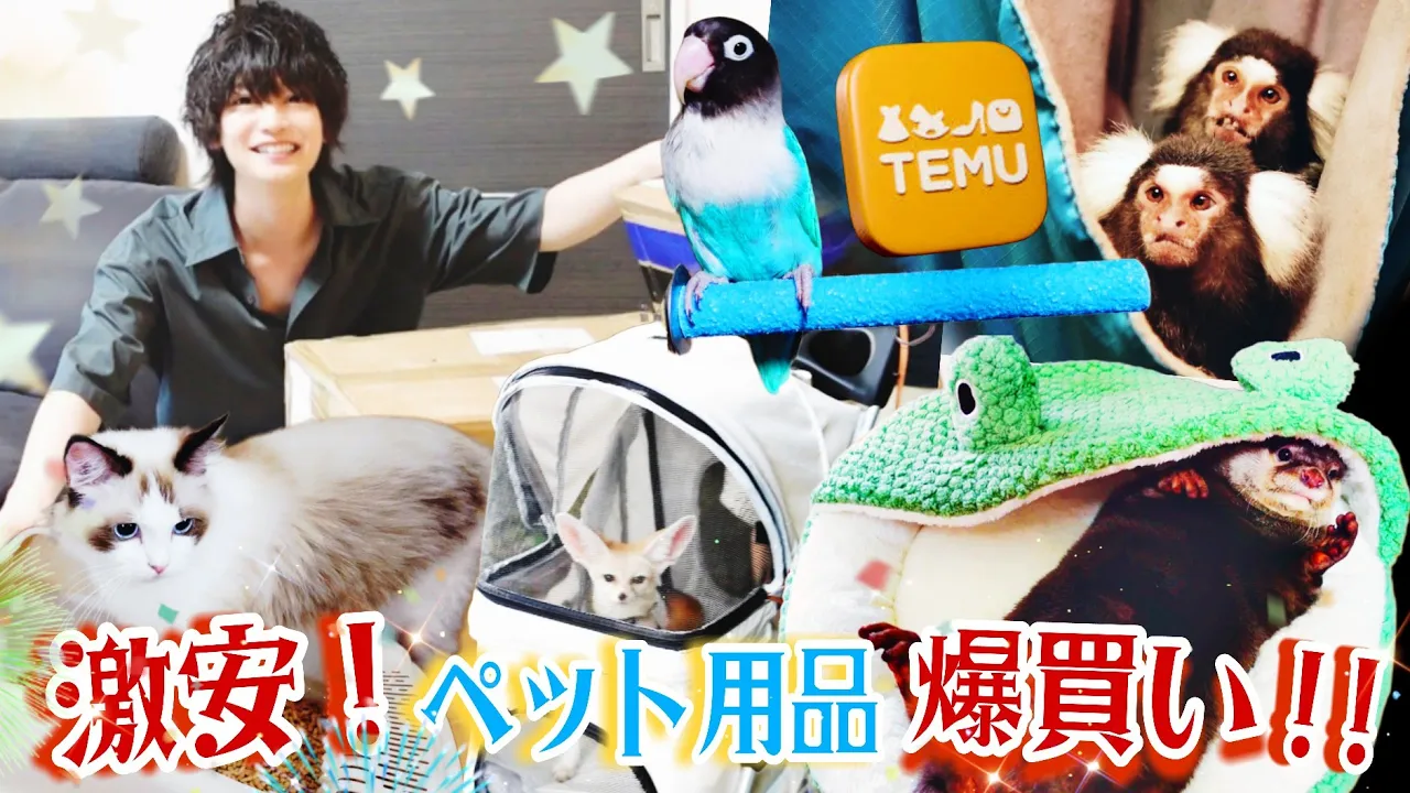 激安すぎるTEMUでペット用品を爆買いしたよ★