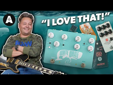 Crazy Tube Circuit White Whale V2 Spring Reverb | Delicious Audio
