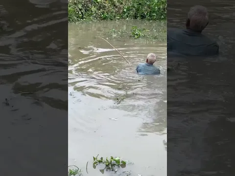 Amazing Fishing For Huge Fish
