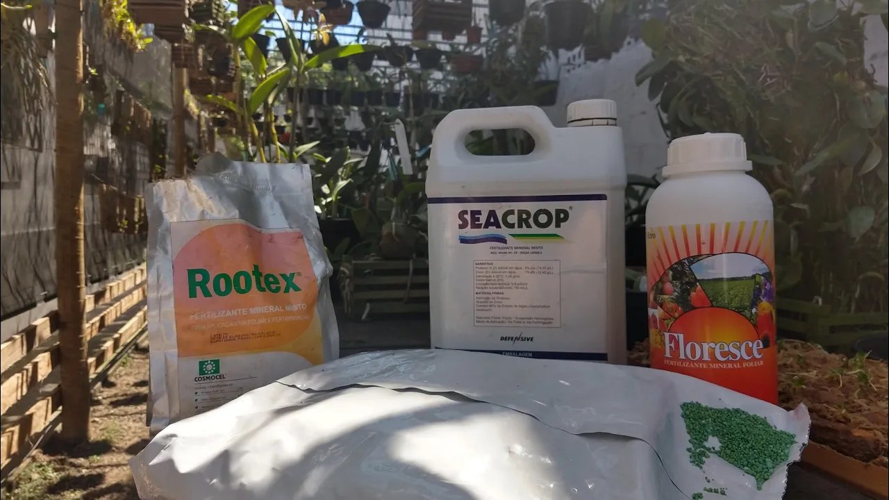 ADUBOS PARA ORQUÍDEAS A VERDADE