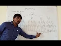N QUEENS PROBLEM USING BACKTRACKING STATE SPACE TREE 4-QUEENS PROBLEM 8 - QUEENS PROBLEM