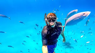 The BEST Freedive of My Life!!!