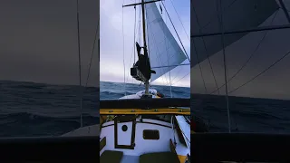 Salt Therapy🔊🏴‍☠️ #gosailing #travel #reels #shorts #short