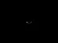 SLYVER - SPIKEY
