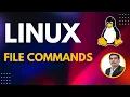 Part 1 - for Testers File Commands