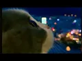 Download Lagu Ayasa-The Reason Why Piano cover on a cat extended version complete
