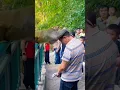 Monkey slapped attack for man