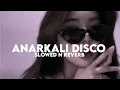 Lagu Anarkali Disco (Slowed n Reverb)