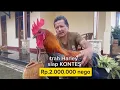 Download Lagu widih ....AYAM PELUNG CALON JUARA ??? DIJUAL