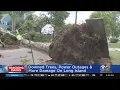 Downed Trees Power Outages More Damage Reported On Long Island After Tropical Storm Isaias