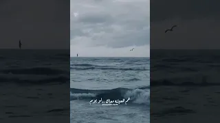 فاضي شوية    موج الدنيا اناني وعالي   دندنها