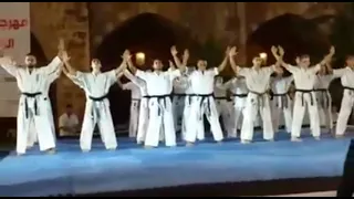 نادي الجوارح اللبناني   نشاط إستعراضي قتالي لأبطال نادي الجوارح اللبناني  صيدا  دندنها
