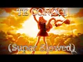 Download Lagu BXKQ - TE CONOCÍ (Super Slowed) ⓈⓅⒶⓃⒾⓈⒽ ⓅⒽⓄⓃⓀ