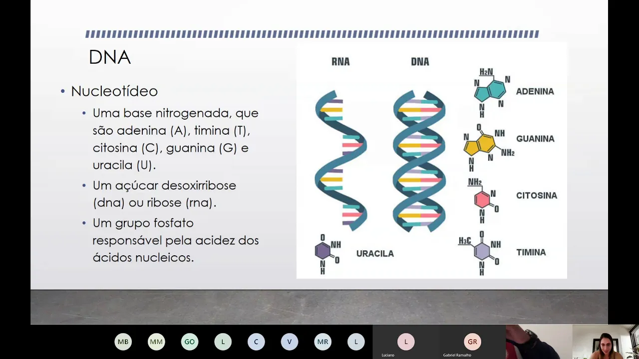Aula ao vivo - Ciências Moleculares e Celulares
