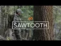 Sawtooth Hybrid Series