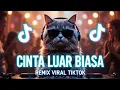 Lagu Zidan – Cinta Luar Biasa (Remix Version) | Cover Remix Viral TikTok