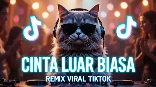 zidan cinta luar biasa remix version cover remix viral tiktok