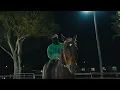 Dame Atlas - chrome hearts don’t break (Official Music Video)