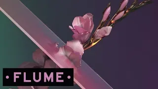Flume Never Be Like You Feat Kai 