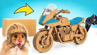 Mobil Kardus 2 Roda untuk Hamster! 🐹 🏍️ DIY Mudah & Seru