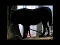 25 - Marduk - Wolves - Legendado em Português