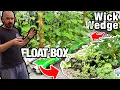 Float Box Wick Wedge Hydroponic System Update