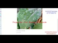 Detection Of Soybean Plant Disease Using Image Processing Python Project With Source Code