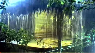 The Sound Of Rain Falling Asleep In 3 Minutes 