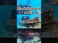 Download Lagu 🚢🪸🦀🐠 How to Sink a Ship... on purpose #sinkingship #ssunitedstates #coastfiles #podcast #maths