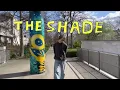 Rex Orange County - THE SHADE (Music Video) V1
