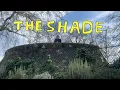 Download Lagu Rex Orange County - THE SHADE (Music Video) V1