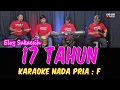 Download Lagu 17 TAHUN - ELVY SUKAESIH - KARAOKE NADA PRIA