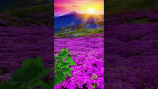 فلكلور يمني طبع الزمن من أغانيالفنان محمد محسن عطروش حصريا 