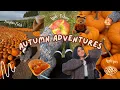FALL VLOG Pumpkin patch Taves Farm Vancouver Apple picking cozy vibes baking apple mini pies