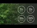 Download Lagu Tiny Forest documentary about the effects of the Miyawaki method in the Netherlands