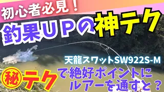 【釣果倍増㊙️神テク】知らなきゃ損するシーバス爆釣最強テクニック！とテンリュウSWATSW922S-M