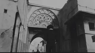 اغنية شفت البلدان و راسي شاب دندنها