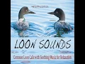 Loons of the Lake (With Soft Music)