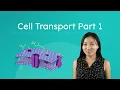 Cell Transport Part 1 - What Is Diffusion and Cellular Transport