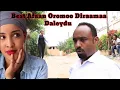Download Lagu Diraamaa Comedy Afaan Oromoo Daleydu