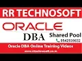 Shared Pool Oracle DBA Tutorials for the Beginners RR TECHNOSOFT