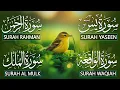 Download Lagu The Best Recitation Surah Yaseen (Yasin) | Surah Rahman | Surah Waqiah | Surah Mulk