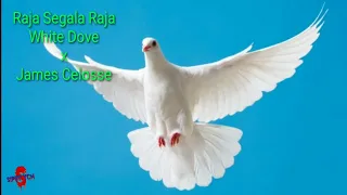 Download Raja Segala Raja - White Dove x James Celosse ( Lirik ) MP3