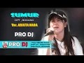 Download Lagu SUMUR // ARISTA NADA