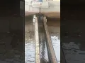 Download Lagu Water Filtration system at Sembli  dam Islamabad