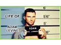 LIFE OF ADAM LEVINE