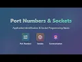 Port Numbers Sockets Explained Networking Basics for Beginners