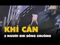 Download Lagu Bắn gây mê, bắt khỉ đuôi lợn 4,5kg sổng chuồng cắn 3 người ở Bình Tân