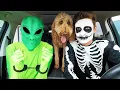 Download Lagu Puppies Surprise Dancing Car Ride Chases